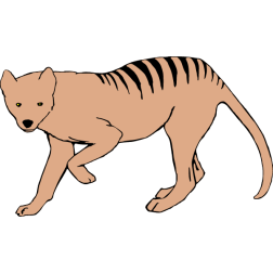 thylacine 1