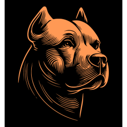 The first drawing of a very peaceful pit bull