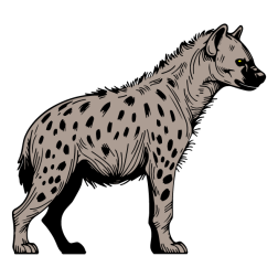 The hyena watches its prey and waits for the rest of the pack to join it