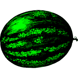 Watermelon I