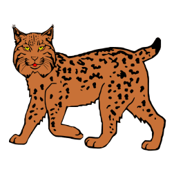 Lynx 1
