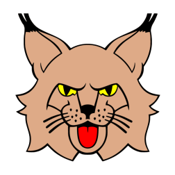 Lynx (head)