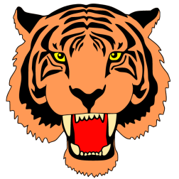 Tiger, head 1