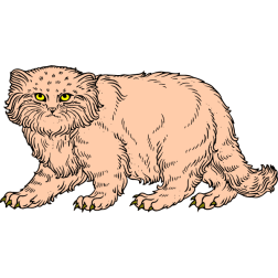 Careful cat