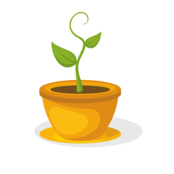 Green plant in the yellow pot