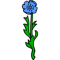 Flower 1