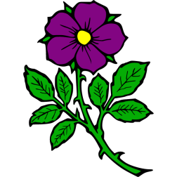 Flower 10