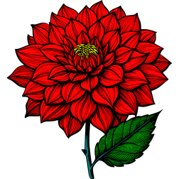 Flower 13