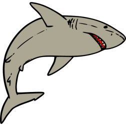 Shark 5