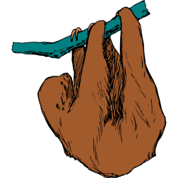 Sloth 1