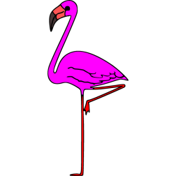 Flamingo 1