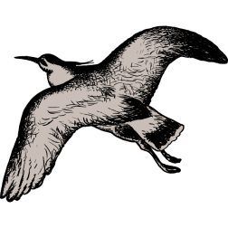 Heron 2