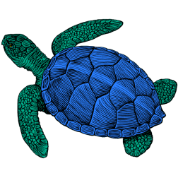 A turtle swims just below the surface of the ocean