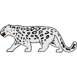 Snow leopard 1
