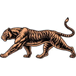 Tiger: King of the Jungle