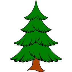 Pine 3