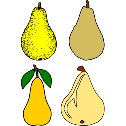 Pears I