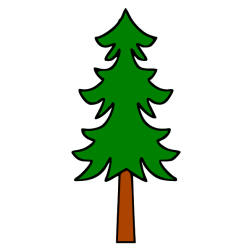Pine 4