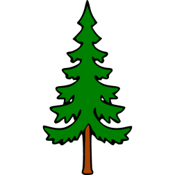 Pine 9a