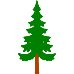 Pine 9b