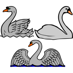 Swans 1