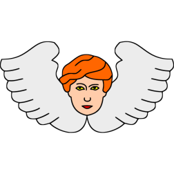 angel 7