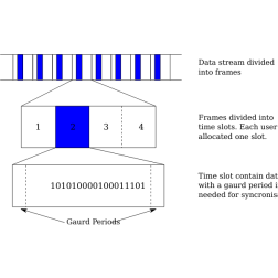 1c TDMA1