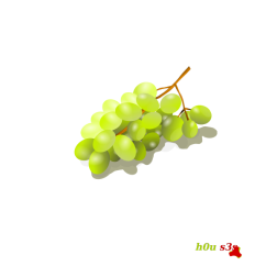 1c7a2a88