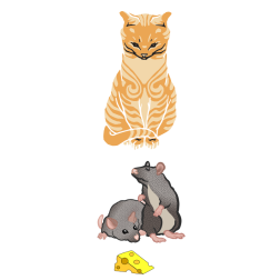 Cat and mouses