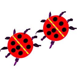 2 ladybirds