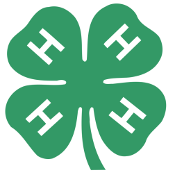 Four leaves clover-1642148652