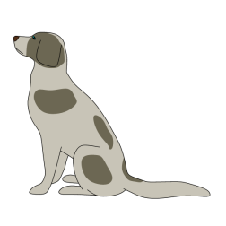 A dog waiting for a command