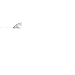 A11