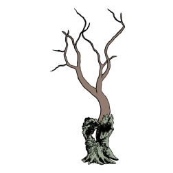 A tree that grew from an old stump