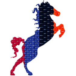 AkramlyHorse