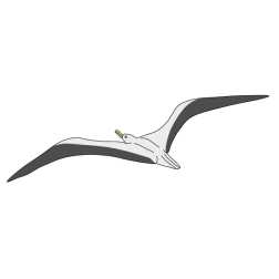 Albatross I