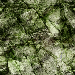 AlgaeCoveredRockFace2