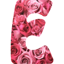 Alphabet15E