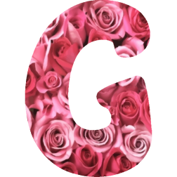 Alphabet15G