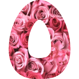 Alphabet15O