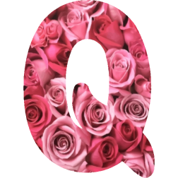 Alphabet15Q