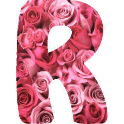 Alphabet15R