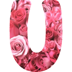 Alphabet15U