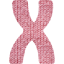 Alphabet17X