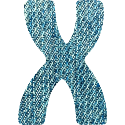 Alphabet18X