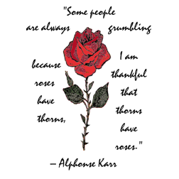 Rose with text