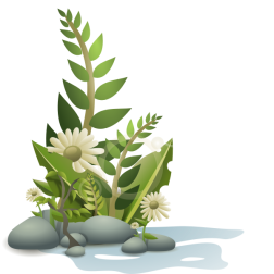 Plants pebbles and flowers vector