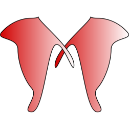 Angel wings