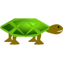 Turtle vector image