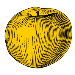 Apple III
